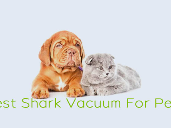 Best Shark Vacuum For Pets
