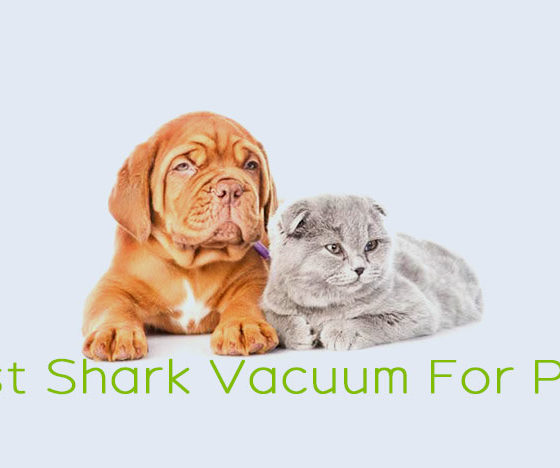 Best Shark Vacuum For Pets