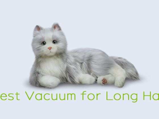 Best Vacuum for Long Hair