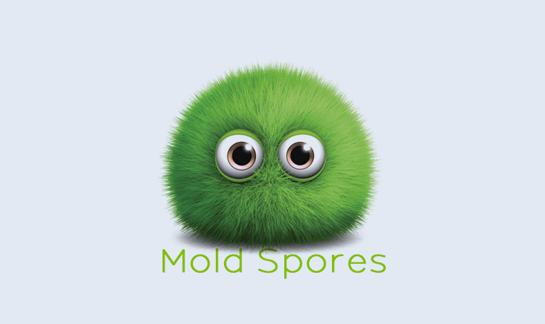 How To Recognize And Kill Mold Spores