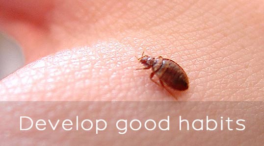 Develop good habits toward bed bug